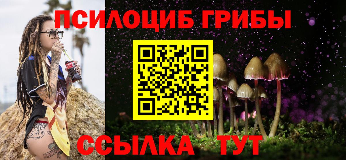 Псилоцибиновые грибы Psilocybe Удомля