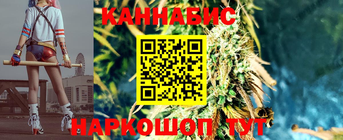 Каннабис сатива Удомля
